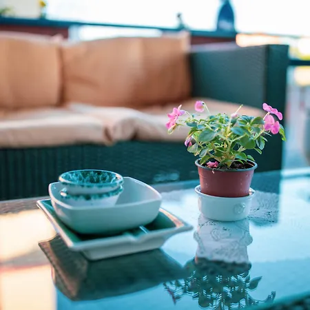 Burlamacco לידו די קאמאיורה