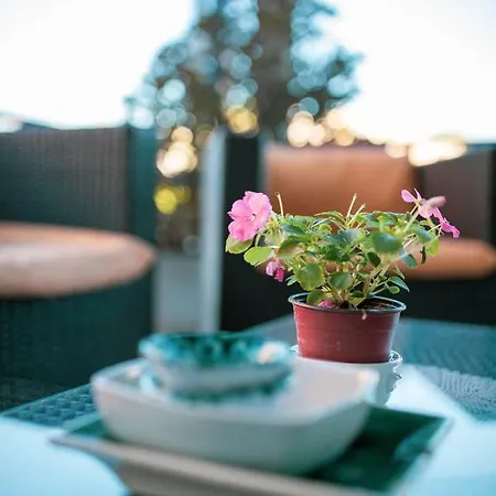Burlamacco Hotel 2*